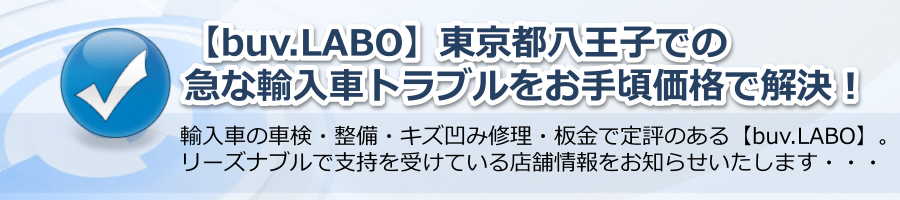 【buv.LABO】東京都八王子での急な輸入車トラブルをお手頃価格で解決！